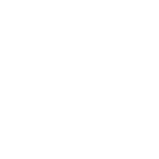 Denver Language School white logo