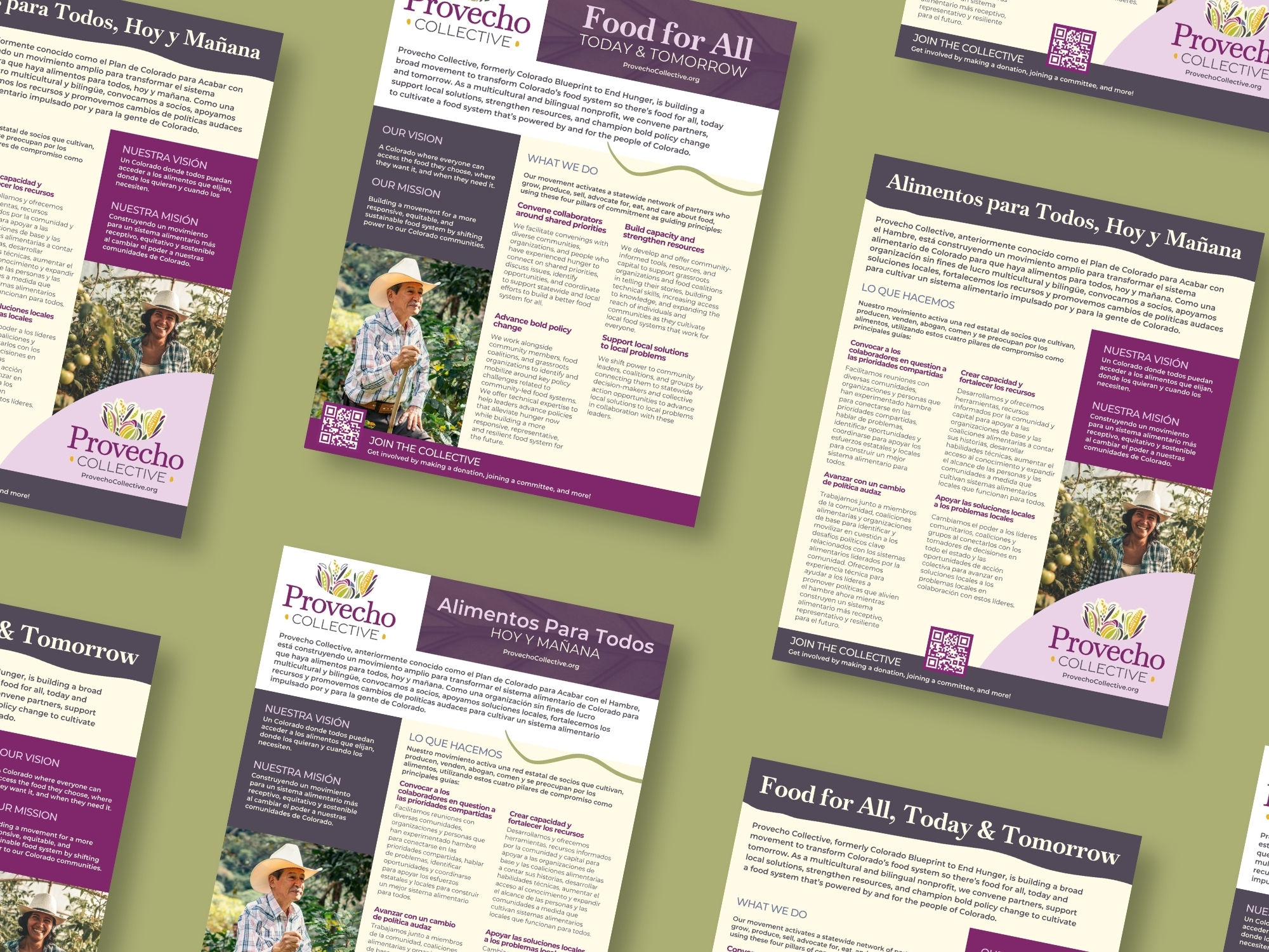 Provecho Collective bilingual one-pager describing how they support communities with food access for all, today and tomorrow.