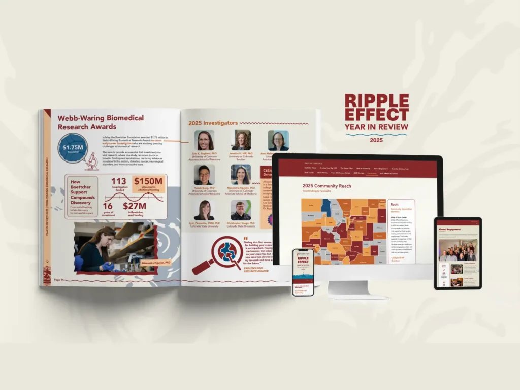 A mockup of the Boettcher report and webpage