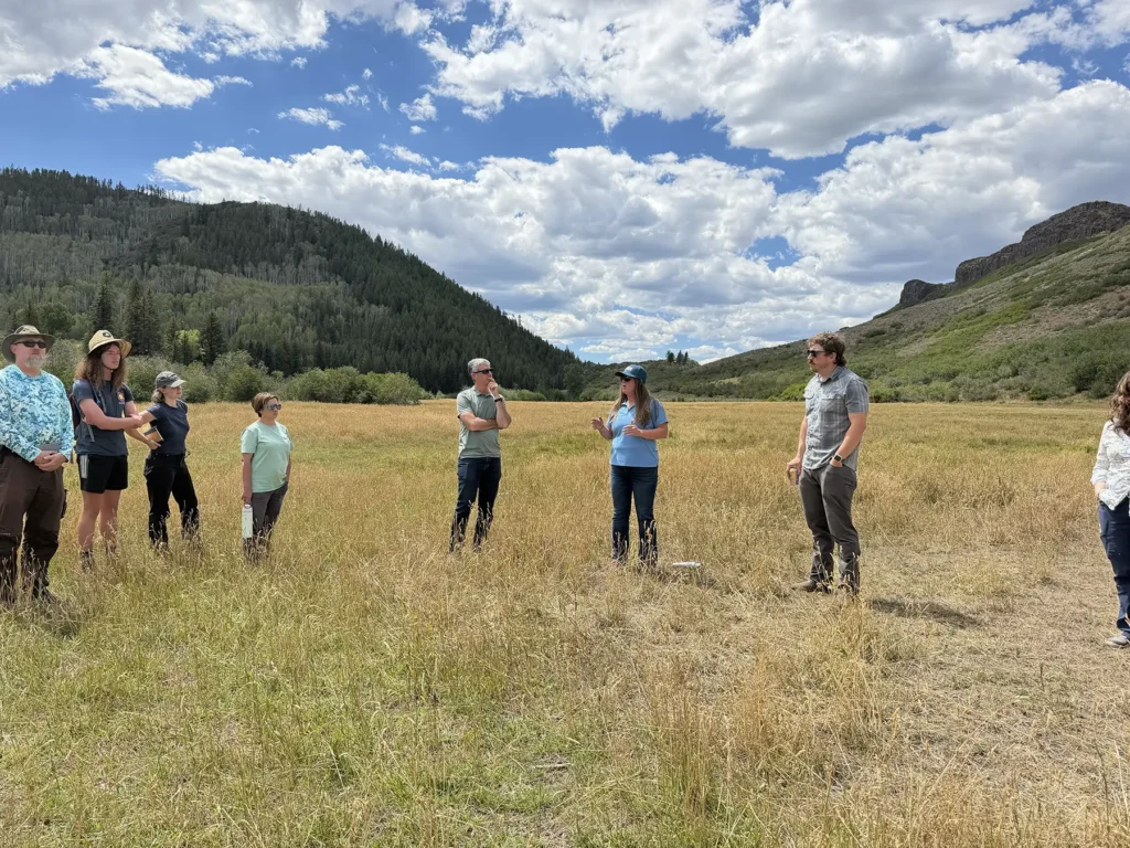 A group of people gathering in a remote field on a sunny day